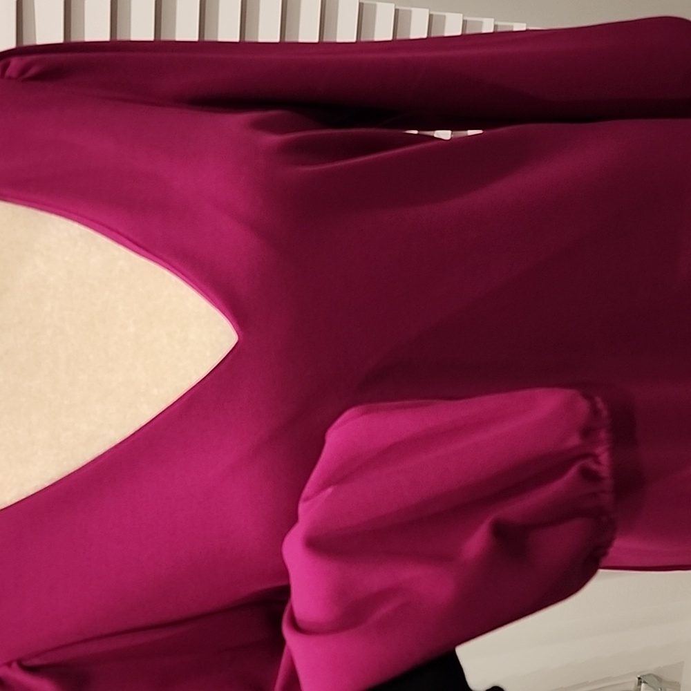 ALEXIA ADMOR Shift Dress, XL, Raspberry - Picture 6 of 14